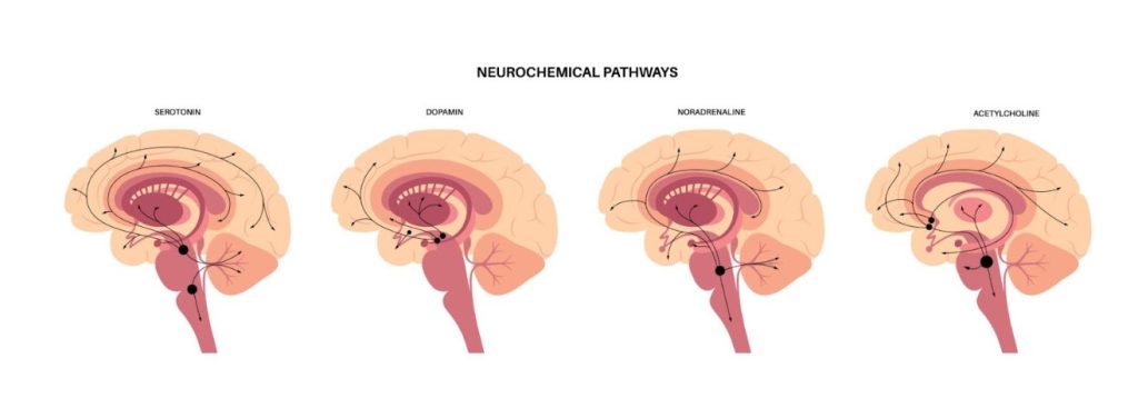 brain - ReAddict